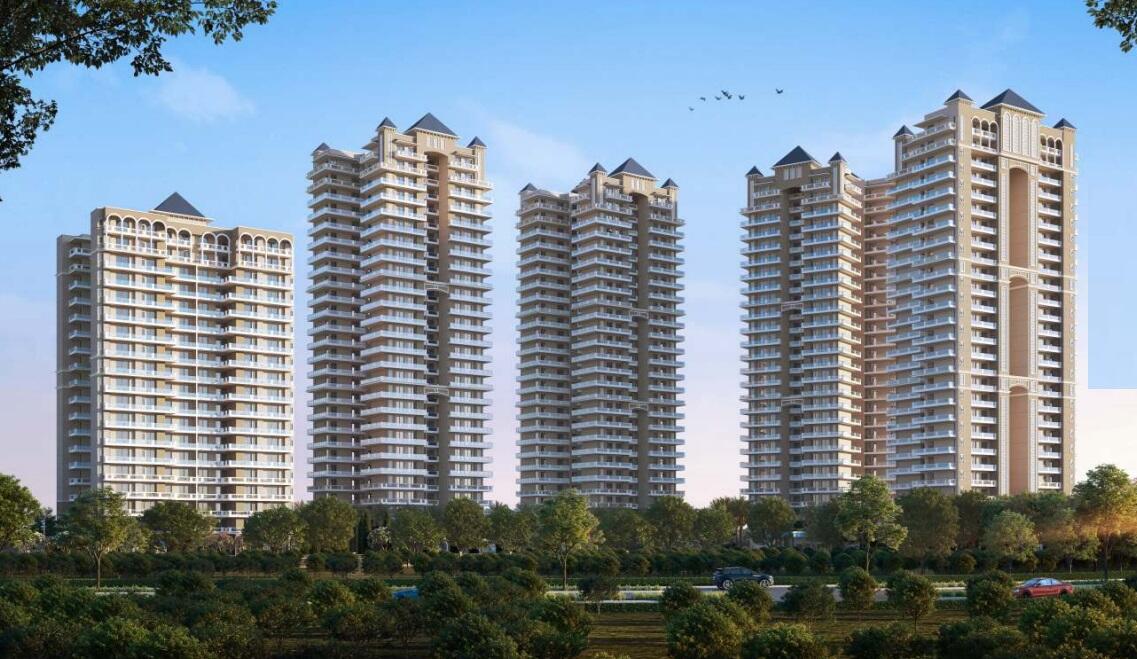 PROJECT NAME